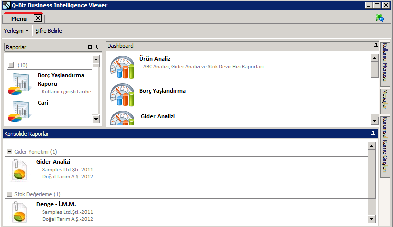 Q-Biz Viewer